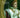 Napoleone. Fasto imperiale